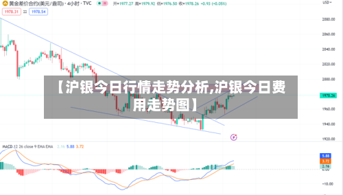 【沪银今日行情走势分析,沪银今日费用走势图】-第2张图片