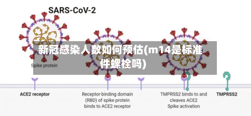 新冠感染人数如何预估(m14是标准件螺栓吗)-第3张图片