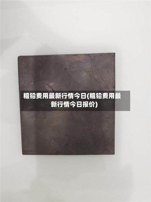 粗铅费用最新行情今日(粗铅费用最新行情今日报价)