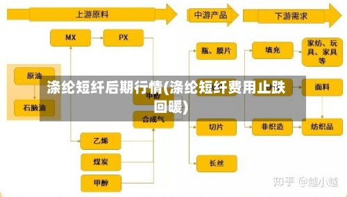涤纶短纤后期行情(涤纶短纤费用止跌回暖)-第3张图片