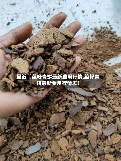 最近【菜籽青饼最新费用行情,菜籽青饼最新费用行情表】