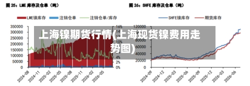 上海镍期货行情(上海现货镍费用走势图)-第2张图片