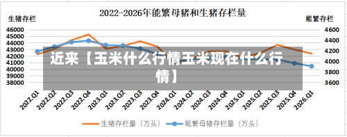 近来【玉米什么行情玉米现在什么行情】