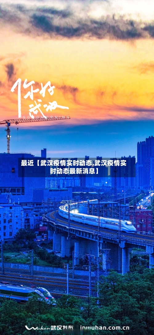 最近【武汉疫情实时动态,武汉疫情实时动态最新消息】-第2张图片