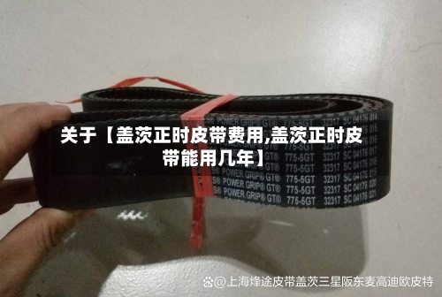 关于【盖茨正时皮带费用,盖茨正时皮带能用几年】-第2张图片