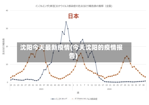 沈阳今天最新疫情(今天沈阳的疫情报告)-第3张图片