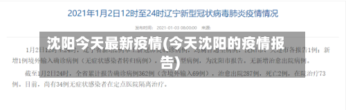 沈阳今天最新疫情(今天沈阳的疫情报告)