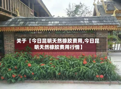 关于【今日昆明天然橡胶费用,今日昆明天然橡胶费用行情】-第3张图片