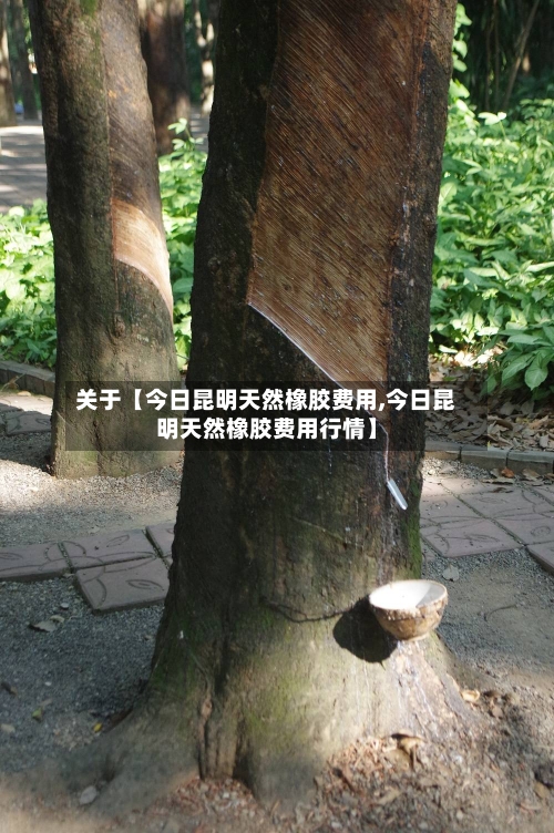 关于【今日昆明天然橡胶费用,今日昆明天然橡胶费用行情】-第2张图片
