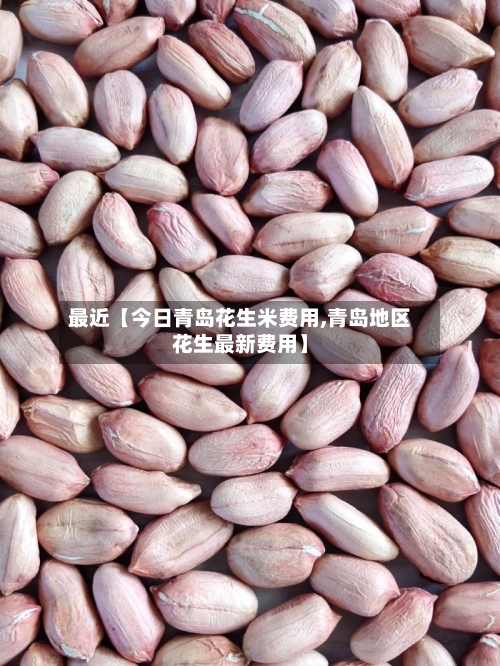 最近【今日青岛花生米费用,青岛地区花生最新费用】