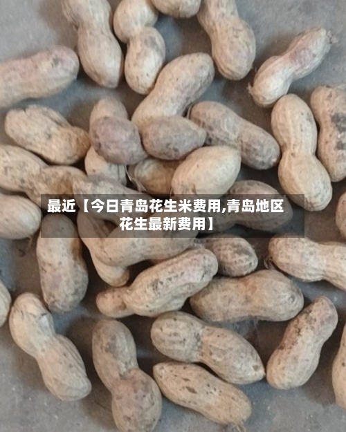 最近【今日青岛花生米费用,青岛地区花生最新费用】-第3张图片