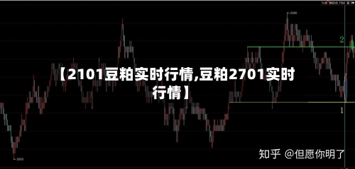 【2101豆粕实时行情,豆粕2701实时行情】-第2张图片