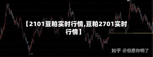 【2101豆粕实时行情,豆粕2701实时行情】