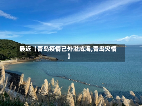 最近【青岛疫情已外溢威海,青岛灾情】-第2张图片