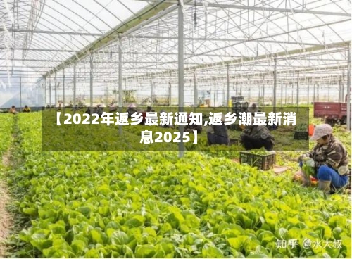 【2022年返乡最新通知,返乡潮最新消息2025】