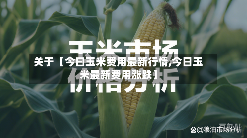 关于【今曰玉米费用最新行情,今日玉米最新费用涨跌】