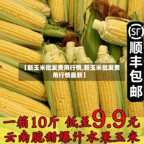【新玉米批发费用行情,新玉米批发费用行情最新】-第2张图片