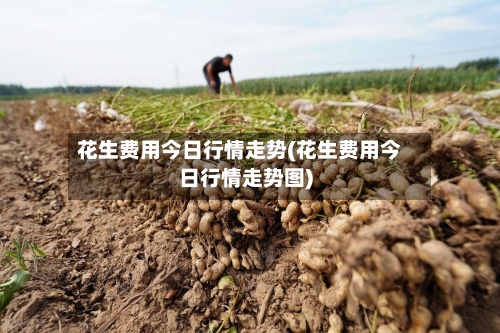 花生费用今日行情走势(花生费用今日行情走势图)-第2张图片