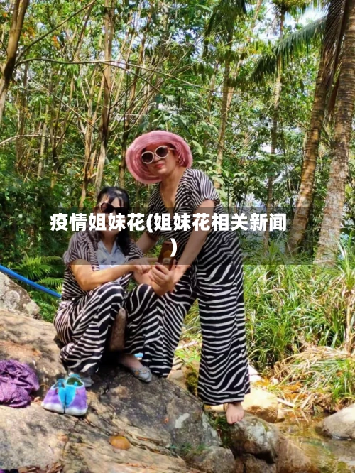 疫情姐妹花(姐妹花相关新闻)-第2张图片