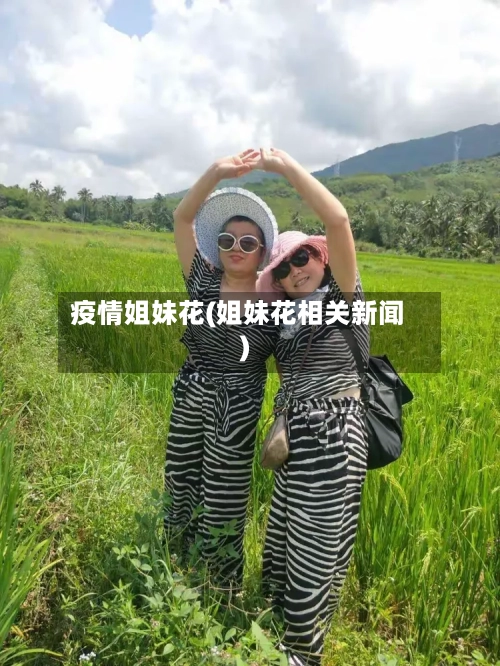 疫情姐妹花(姐妹花相关新闻)
