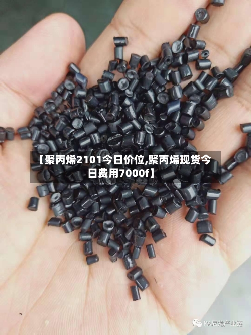 【聚丙烯2101今日价位,聚丙烯现货今日费用7000f】