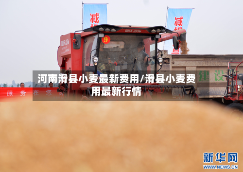 河南滑县小麦最新费用/滑县小麦费用最新行情-第3张图片