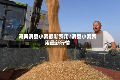 河南滑县小麦最新费用/滑县小麦费用最新行情