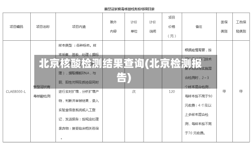 北京核酸检测结果查询(北京检测报告)