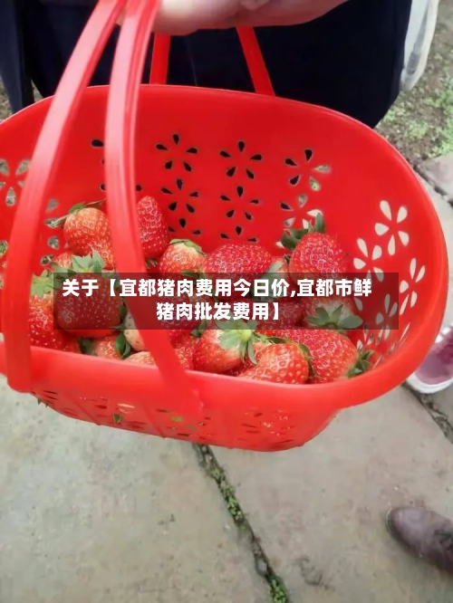 关于【宜都猪肉费用今日价,宜都市鲜猪肉批发费用】