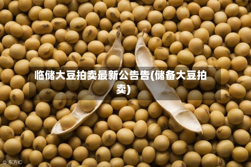 临储大豆拍卖最新公告告(储备大豆拍卖)