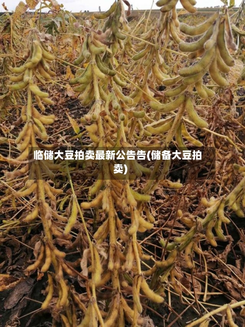 临储大豆拍卖最新公告告(储备大豆拍卖)-第2张图片