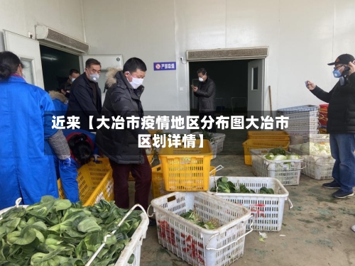 近来【大冶市疫情地区分布图大冶市区划详情】-第3张图片