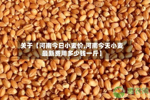 关于【河南今日小麦价,河南今天小麦最新费用多少钱一斤】