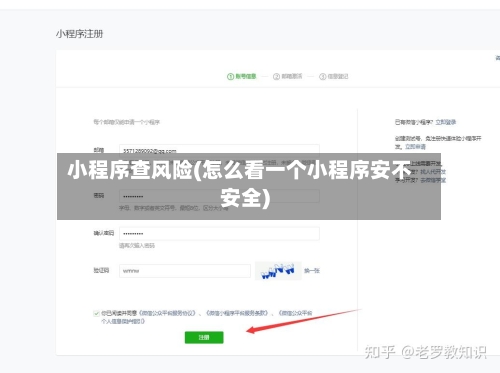 小程序查风险(怎么看一个小程序安不安全)