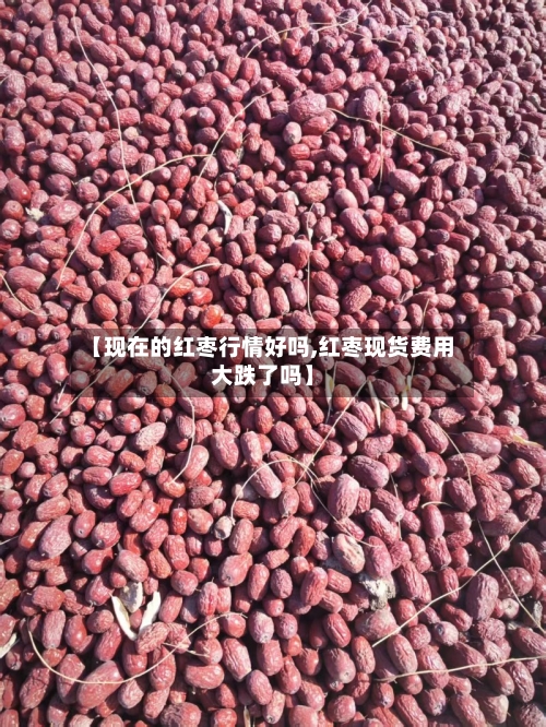 【现在的红枣行情好吗,红枣现货费用大跌了吗】-第3张图片