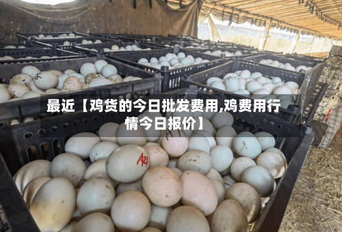 最近【鸡货的今日批发费用,鸡费用行情今日报价】-第3张图片