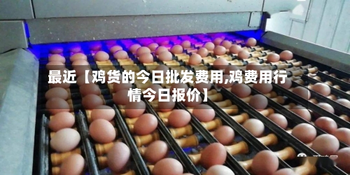 最近【鸡货的今日批发费用,鸡费用行情今日报价】