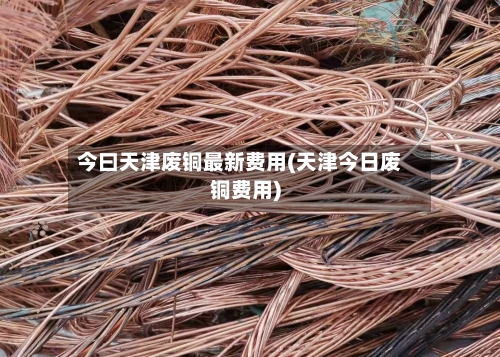 今曰天津废铜最新费用(天津今日废铜费用)-第2张图片