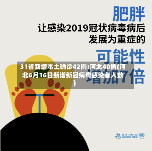 31省新增本土确诊42例:河北40例(河北6月16日新增新冠病毒感染者人数)-第2张图片