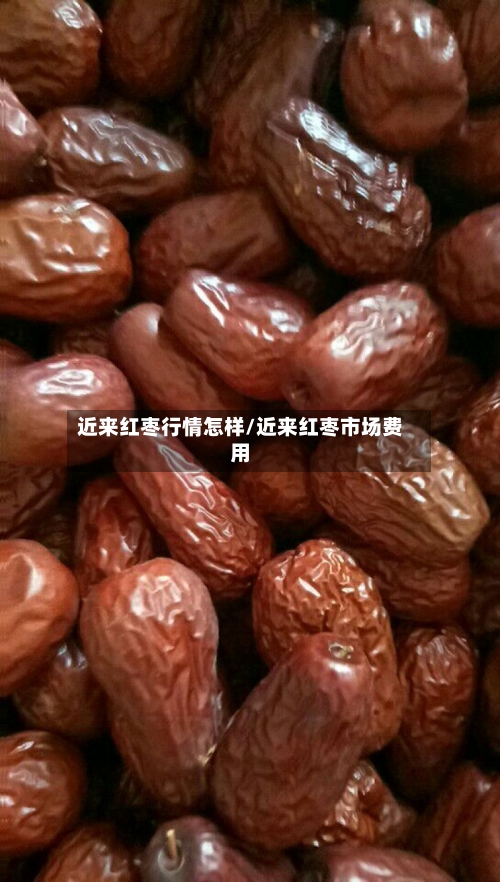近来红枣行情怎样/近来红枣市场费用