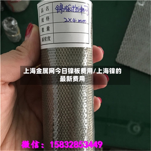 上海金属网今日镍板费用/上海镍的最新费用