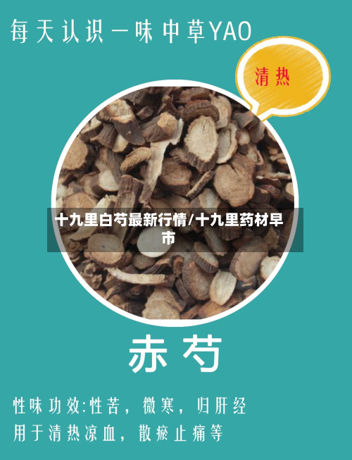 十九里白芍最新行情/十九里药材早市