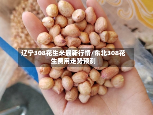 辽宁308花生米最新行情/东北308花生费用走势预测