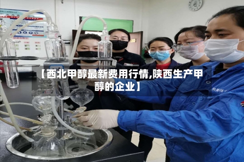 【西北甲醇最新费用行情,陕西生产甲醇的企业】-第2张图片