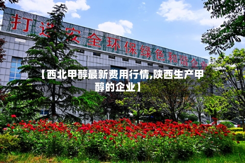 【西北甲醇最新费用行情,陕西生产甲醇的企业】