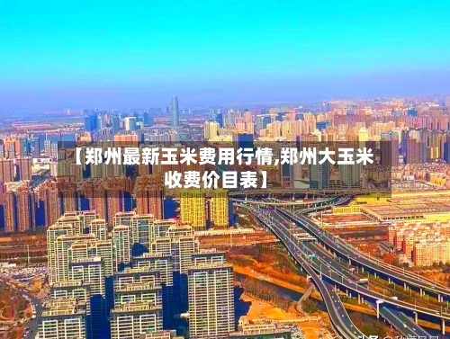 【郑州最新玉米费用行情,郑州大玉米收费价目表】-第3张图片