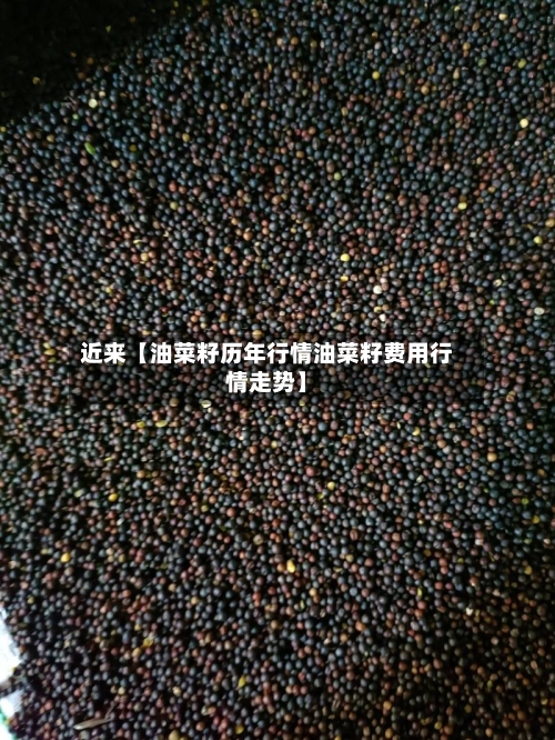 近来【油菜籽历年行情油菜籽费用行情走势】-第2张图片