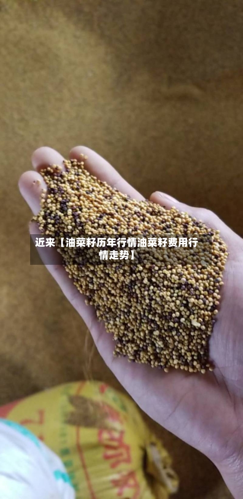 近来【油菜籽历年行情油菜籽费用行情走势】-第3张图片