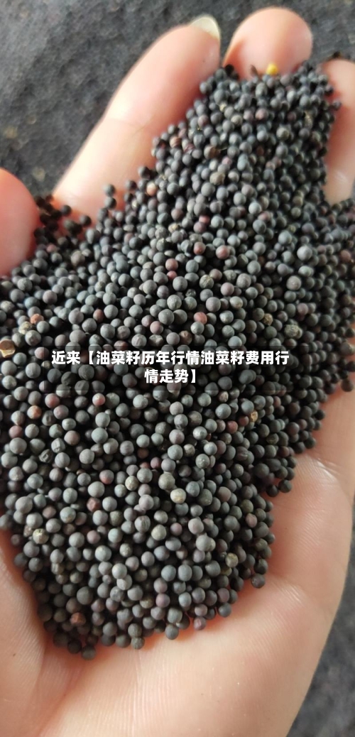 近来【油菜籽历年行情油菜籽费用行情走势】
