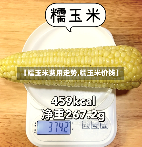 【糯玉米费用走势,糯玉米价钱】-第2张图片
